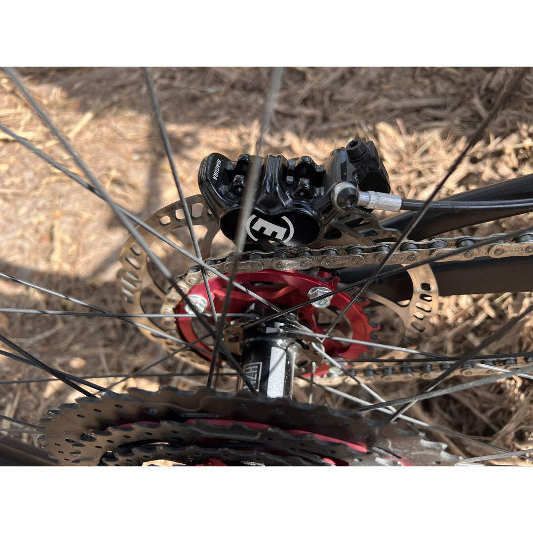 SEM EBMX MTB e-bike. Wheel components view