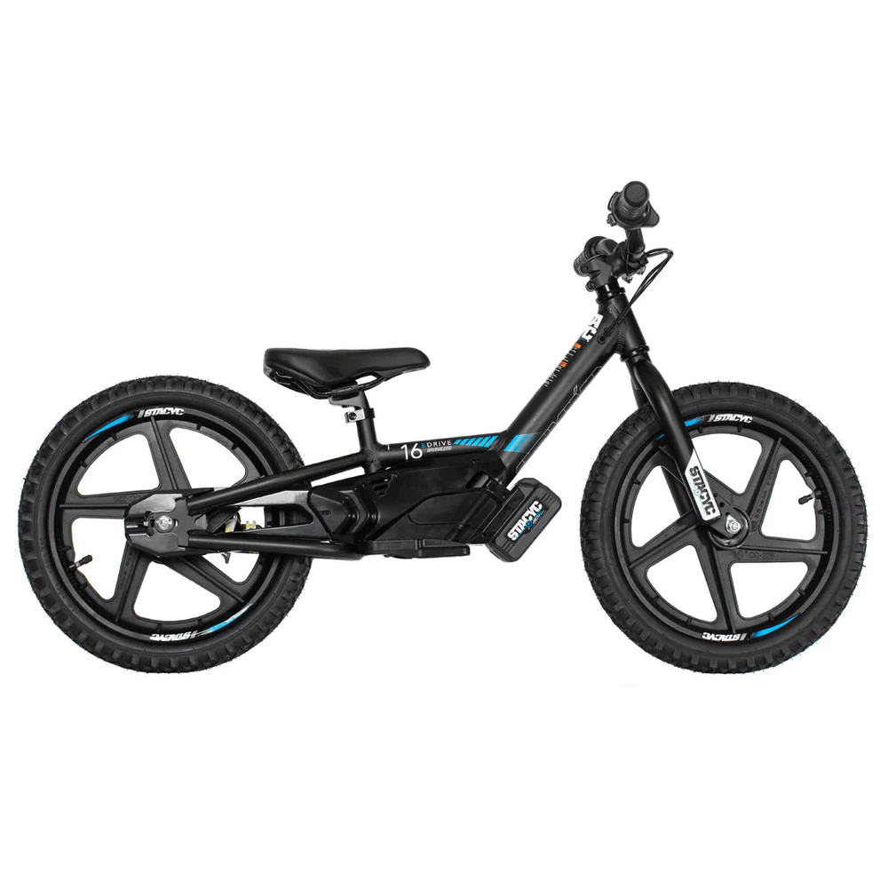 Youth e bike sale